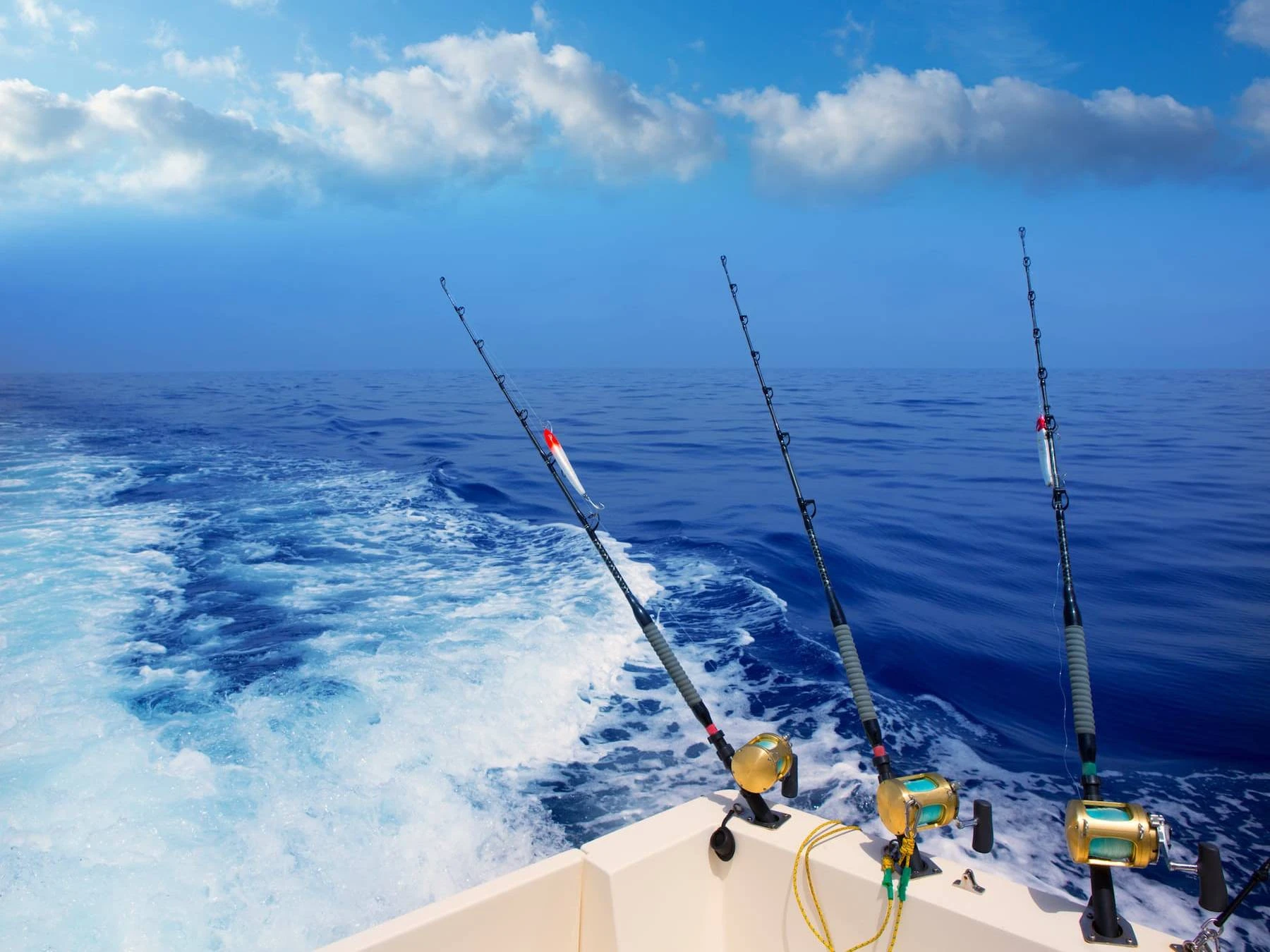 Fishing